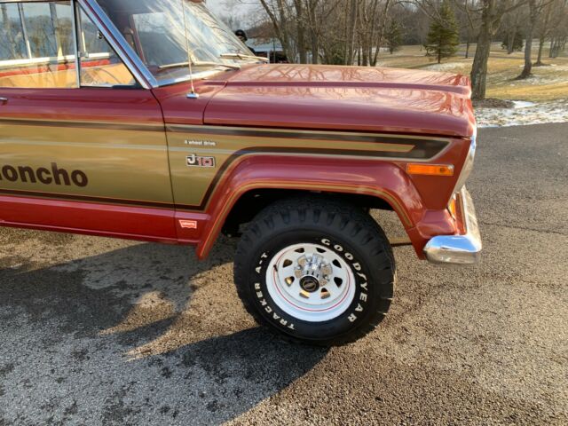 Jeep JEEP J10 PICKUP 1978 image number 11