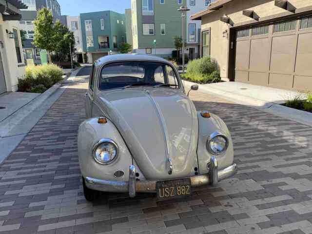 Volkswagen Beetle 1967 image number 10