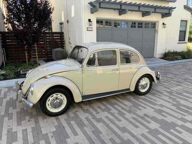 Volkswagen Beetle 1967 image number 24