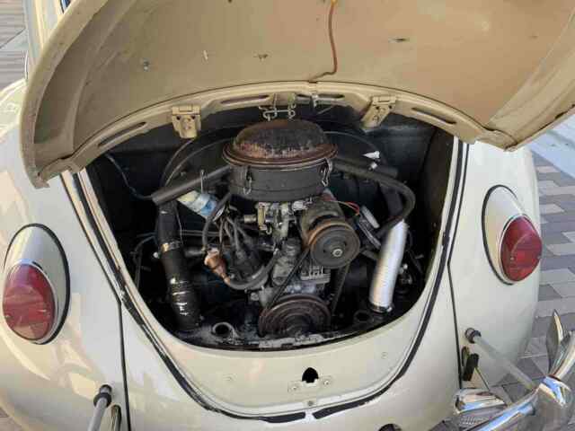 Volkswagen Beetle 1967 image number 45