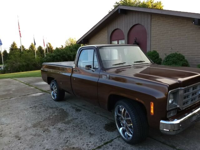 Chevrolet C-10 1977 image number 1