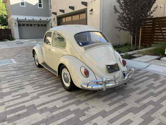 Volkswagen Beetle 1967 image number 2