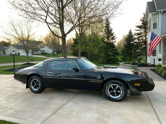 Pontiac Trans Am 1979 image number 15