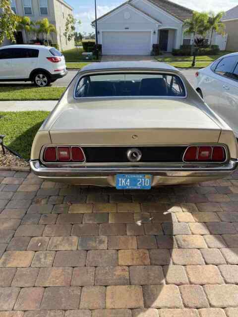 Ford Mustang 1971 image number 1