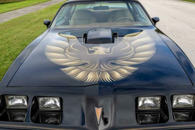 Pontiac Trans Am 1979 image number 33