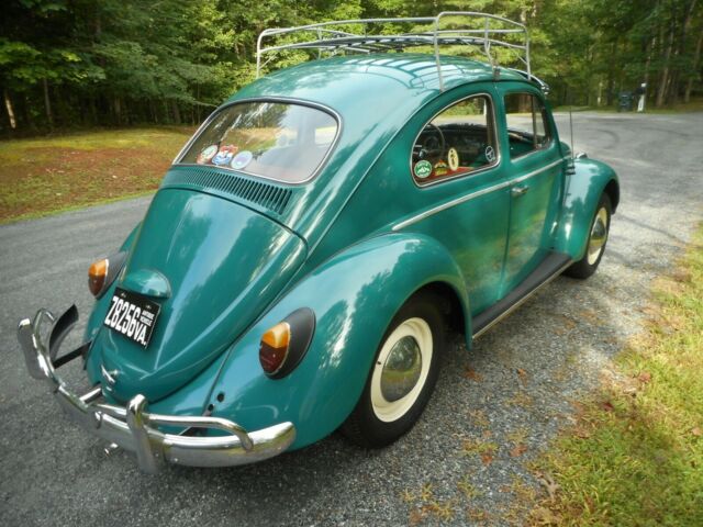 Volkswagen Beetle - Classic 1964 image number 7