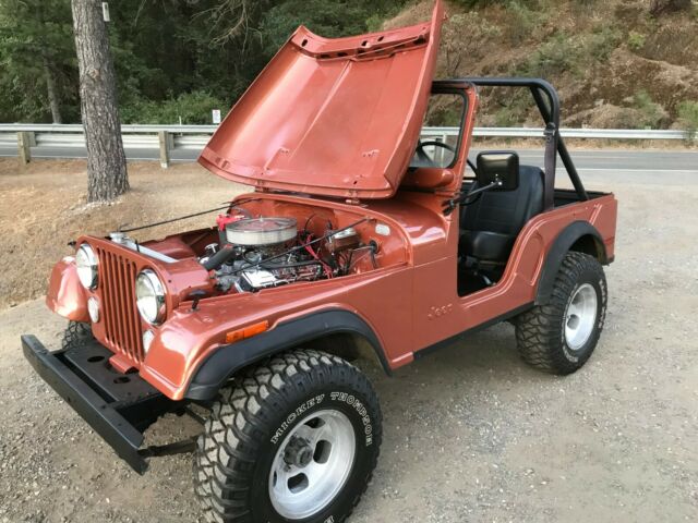 Jeep CJ 1970 image number 10