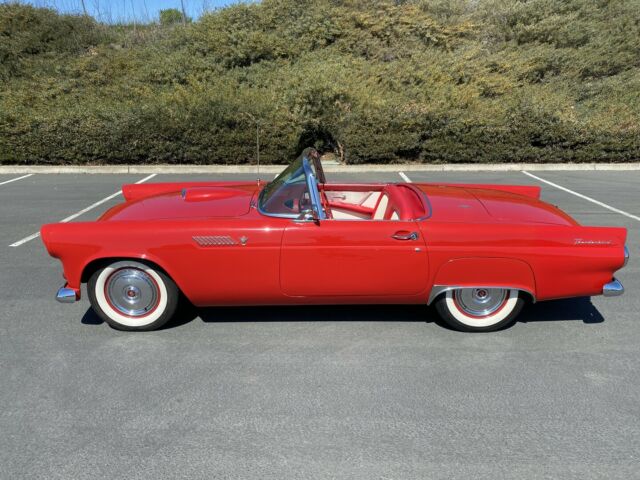 Ford Thunderbird 1955 image number 27