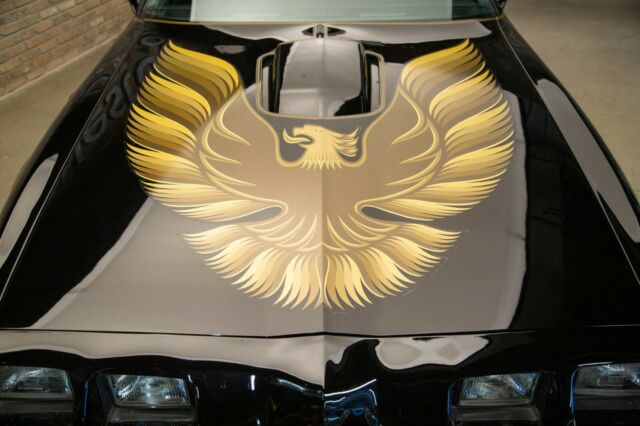 Pontiac Trans Am 1979 image number 11