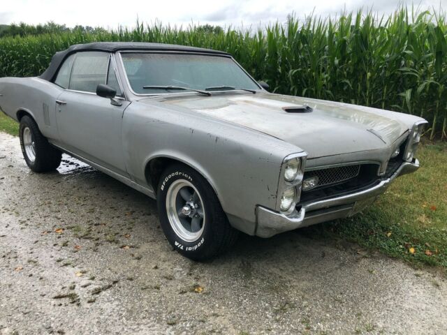 Pontiac GTO 1967 image number 3