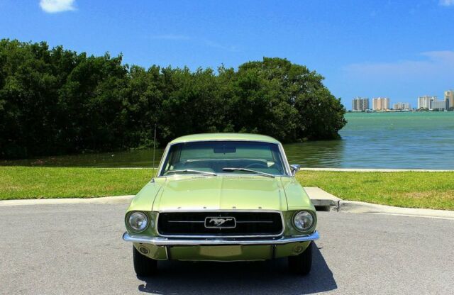 Ford Mustang 1967 image number 19