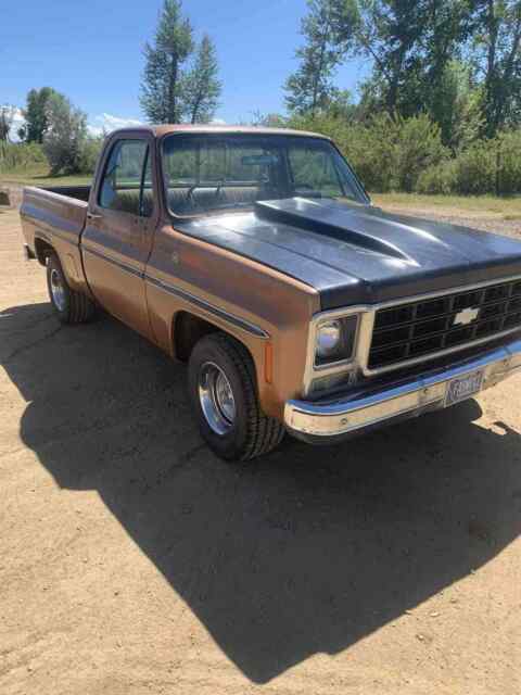 Chevrolet C10/K10 1979 image number 10