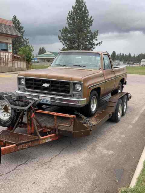 Chevrolet C10/K10 1979 image number 11