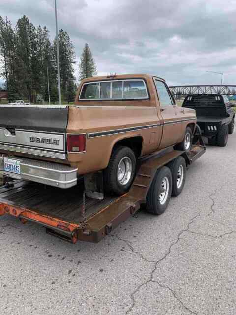 Chevrolet C10/K10 1979 image number 13