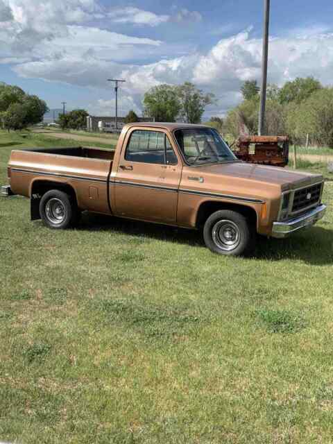 Chevrolet C10/K10 1979 image number 14