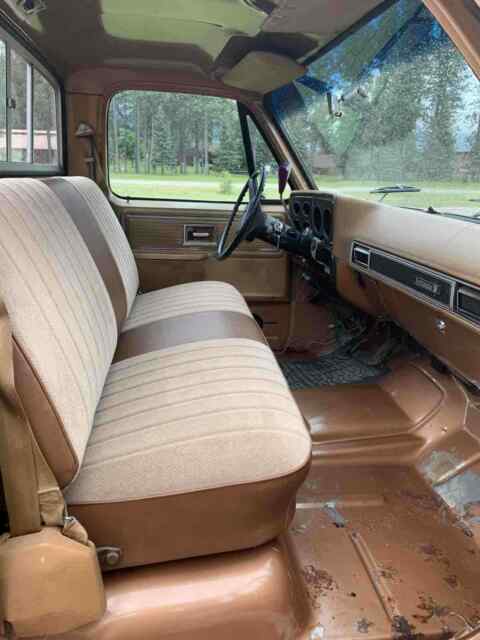 Chevrolet C10/K10 1979 image number 19