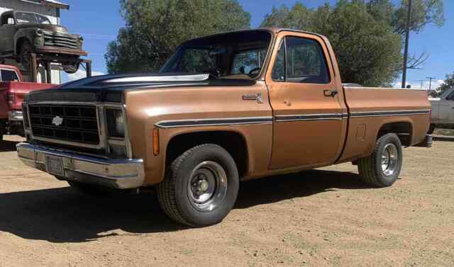 Chevrolet C10/K10 1979 image number 23