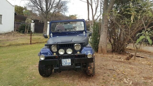 Jeep CJ 1976 image number 0