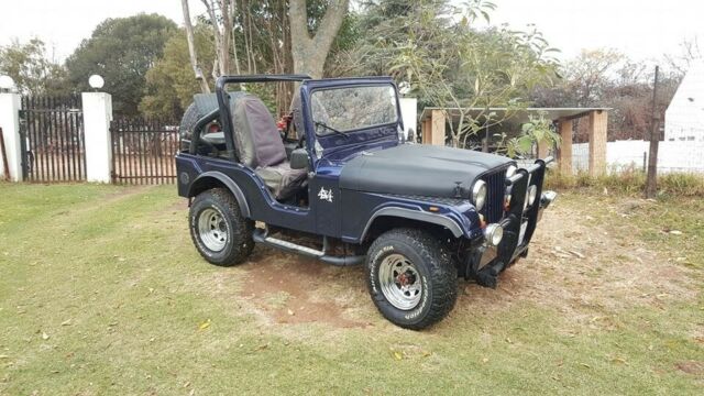 Jeep CJ 1976 image number 1