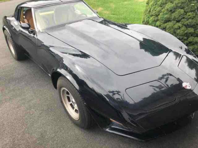 Chevrolet Corvette 1978 image number 1