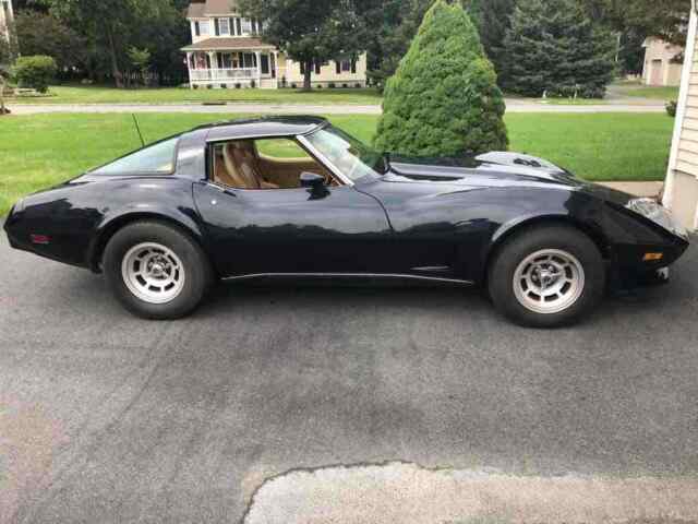 Chevrolet Corvette 1978 image number 10