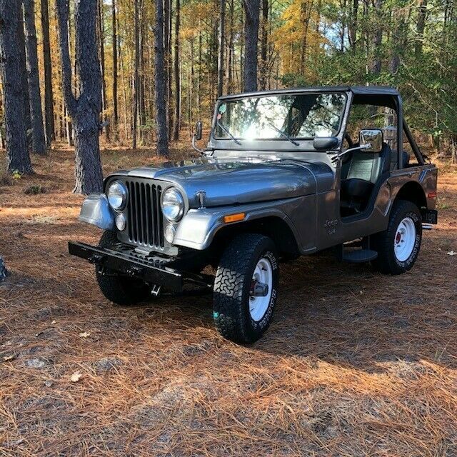 Jeep CJ 1975 image number 0