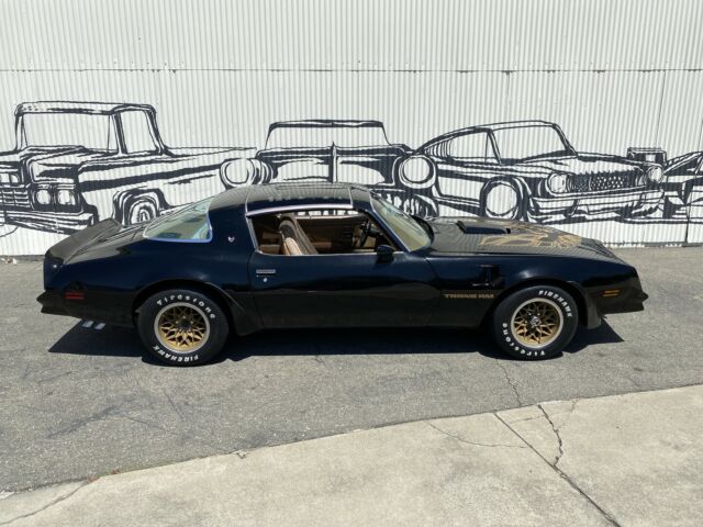 Pontiac Firebird 1978 image number 13