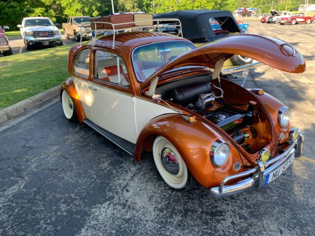 Volkswagen Beetle - Classic 1967 image number 11