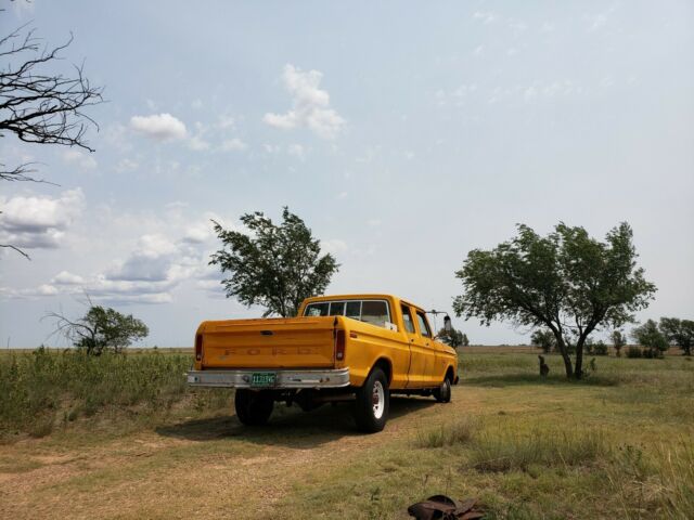 Ford F-250 1974 image number 2