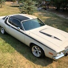 Plymouth Road Runner 1974 image number 1