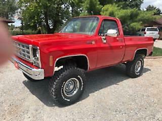 Chevrolet C/K Pickup 1500 1979 image number 29