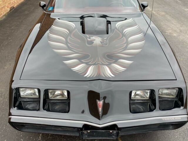 Pontiac Trans Am 1979 image number 21