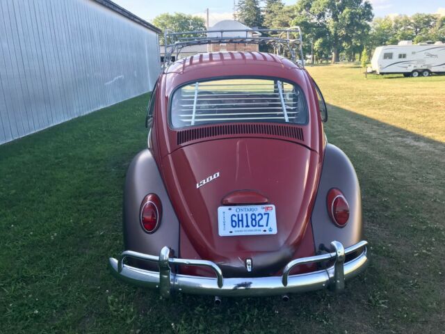 Volkswagen Beetle - Classic 1966 image number 4