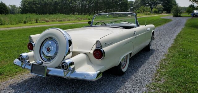 Ford Thunderbird 1955 image number 0