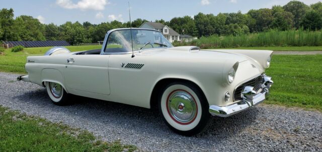 Ford Thunderbird 1955 image number 3