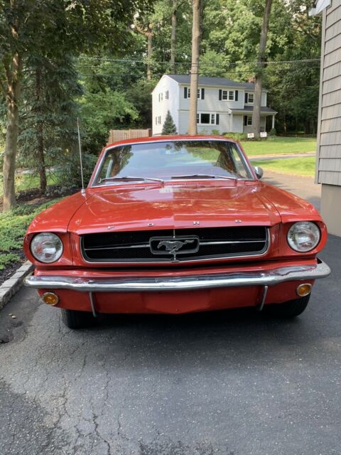 Ford Mustang 1965 image number 12