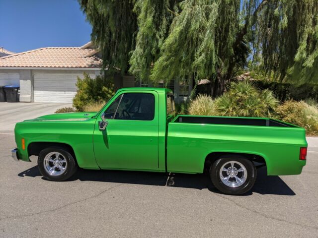 Chevrolet C-10 1978 image number 28