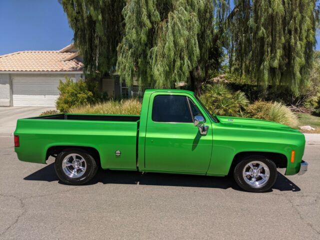 Chevrolet C-10 1978 image number 30