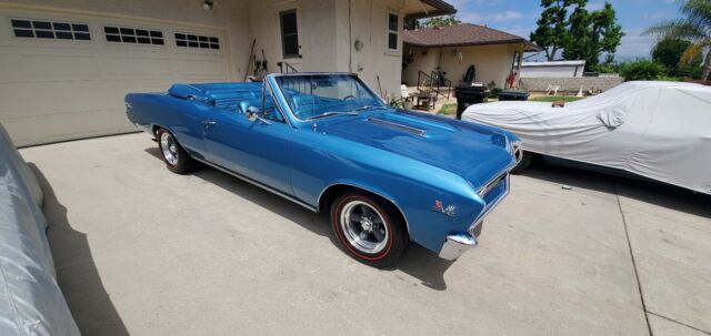 Chevrolet Chevelle Malibu Convertible 1967 image number 0