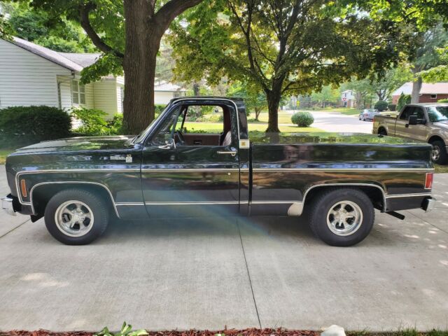 Chevrolet Silverado 1975 image number 14