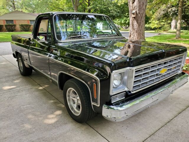 Chevrolet Silverado 1975 image number 22