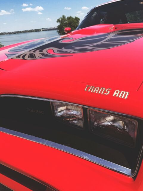 Pontiac Trans Am 1978 image number 10