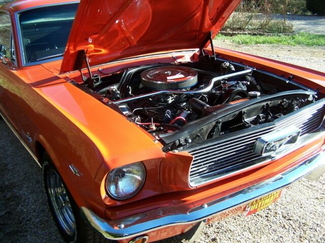 Ford Mustang 1966 image number 14