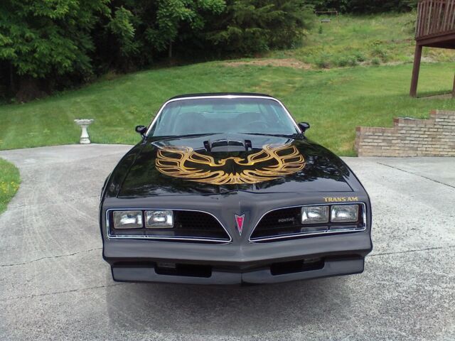 Pontiac Trans Am 1977 image number 1