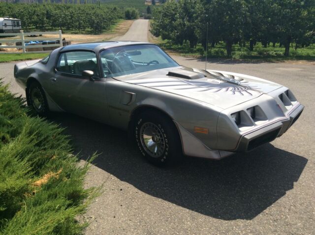 Pontiac Trans Am 1979 image number 2