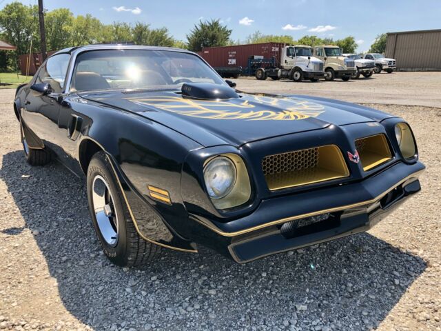 Pontiac Trans Am 1976 image number 6