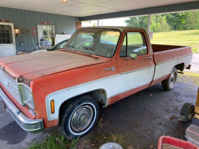 Chevrolet C-10 1976 image number 16