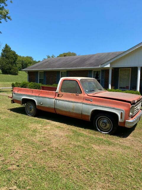 Chevrolet C-10 1976 image number 19