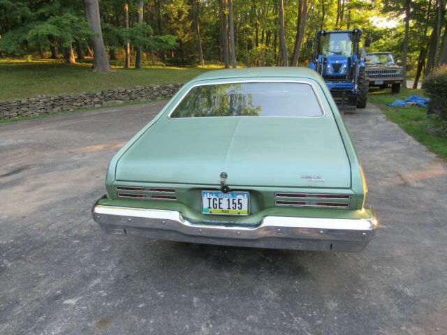 Pontiac GTO 1974 image number 2