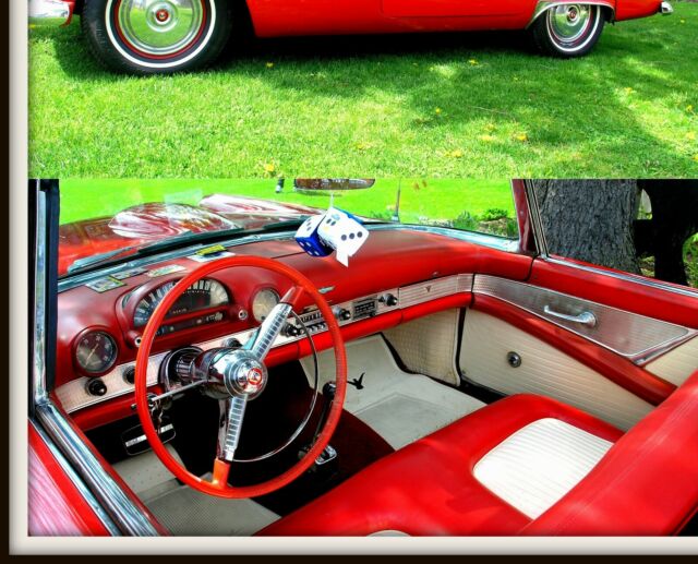 Ford Thunderbird 1955 image number 3